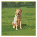 Search for labrador retriever fabric Yellow lab
