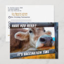 Search for herding postcards Funny