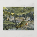 Search for fairy postcards Richard