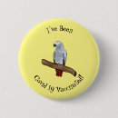 Search for african grey badges Bird