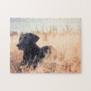 Search for black labrador puzzles Outdoors