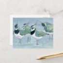 Search for bird lover postcards Birder