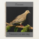 Search for doves photography Nature