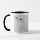 Search for wooly mugs Cute