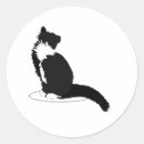 Search for black and white cat stickers Pet