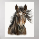 Search for horse heads posters Animal