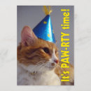 Search for orange kitty cat invitations Pet