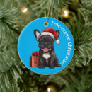 Search for santa paws christmas tree decorations Puppy