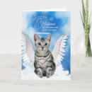 Search for tabby cat rainbow bridge Sympathy
