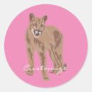 Search for pumas stickers Mountain lion