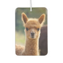 Search for alpaca car air fresheners Adorable