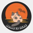 Search for cat person stickers Cute