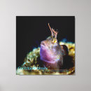 Search for underwater canvas prints Fish
