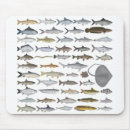 Search for bangladesh mouse mats India