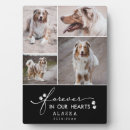 Search for dog photo display Forever in our hearts
