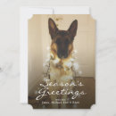 Search for shepherd christmas cards Photography