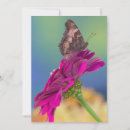 Search for papilio cards Orange