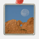 Search for garden of the gods christmas tree decorations Park