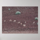 Search for antelopes art Safari