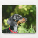 Search for black haired mouse mats Headshot