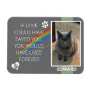 Search for rainbow magnets Modern