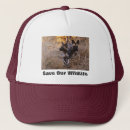 Search for wild dog hats Wildlife