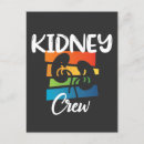 Search for dialysis nurse postcards Kidney