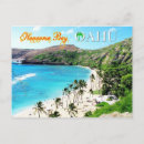 Search for snorkeller postcards Island