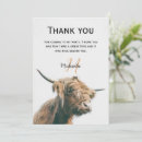 Search for highland cow cards Hairy