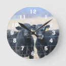 Search for bovin art Farming