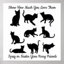 Search for spayed posters Kitten