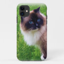 Search for ragdoll cat iphone cases Fluffy