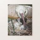 Search for baby puzzles Nature