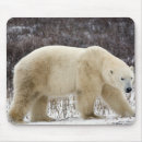 Search for polar bear mouse mats Canada