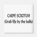 Search for carp magnets Funny