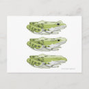 Search for digital photo postcards Wildlife