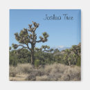 Search for joshua tree magnets National