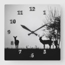 Search for conservation clocks Beautiful