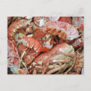 Search for lobster postcards Crab