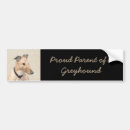 Search for greyhound bumper stickers Cute