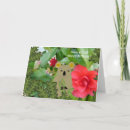 Search for koala bear cards Koalas