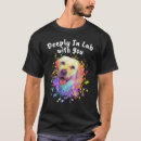 Search for deeply Lab