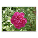 Search for peony mothers day cards Flowers