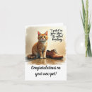 Search for new kitten cards Adoption