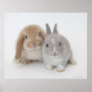 Search for lop posters Friendship