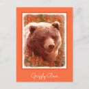 Search for cubs postcards Brown bear