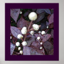 Search for multi region posters Purple