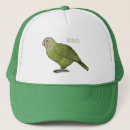 Search for nocturnal hats Bird