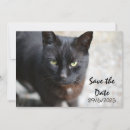 Search for cat save the dates Animal