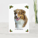 Search for shepherd christmas cards Canine